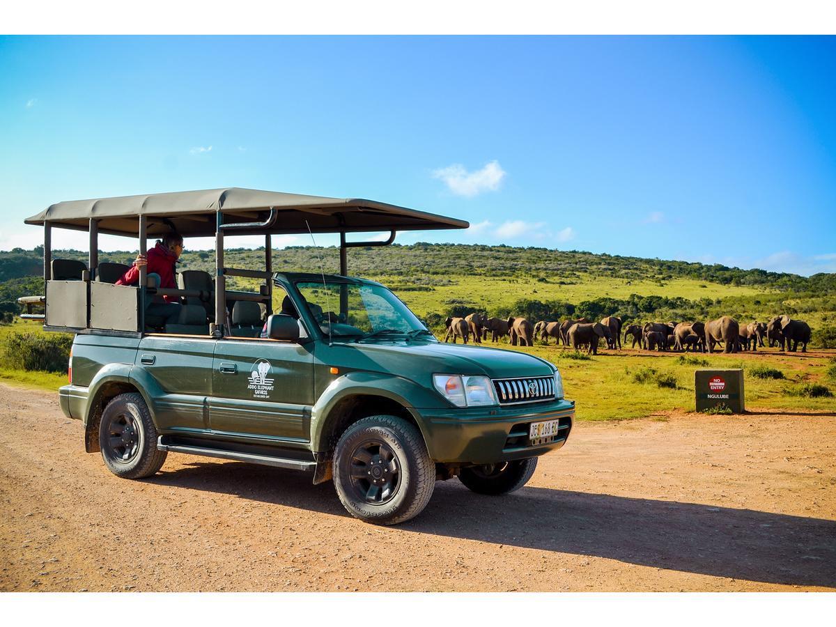Addo Park House Boat - Maggie May Colchester Esterno foto