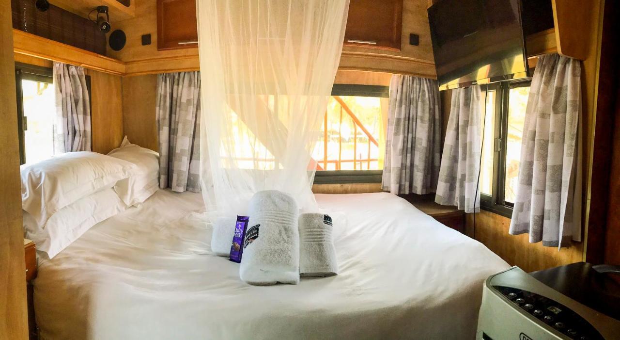 Addo Park House Boat - Maggie May Colchester Esterno foto